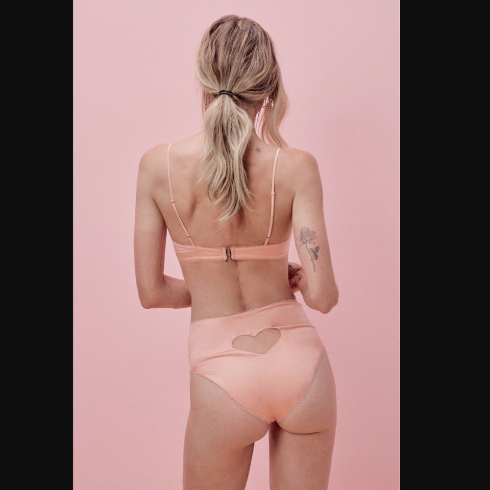 NWT For Love & Lemons La J'aime High waist Panty